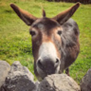 Meet your Posher, Kari